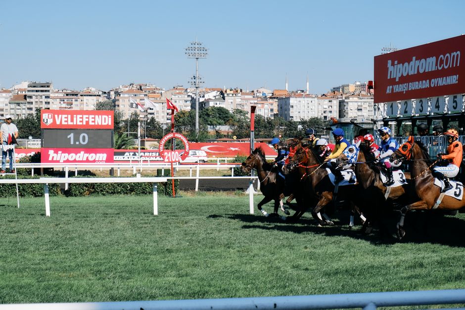 Hippodrome de Saint-Cloud, grand piste et tribunes